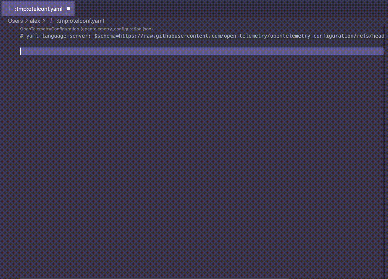 Screen capture of using the schema from an editor demonstrating the usage of description fields